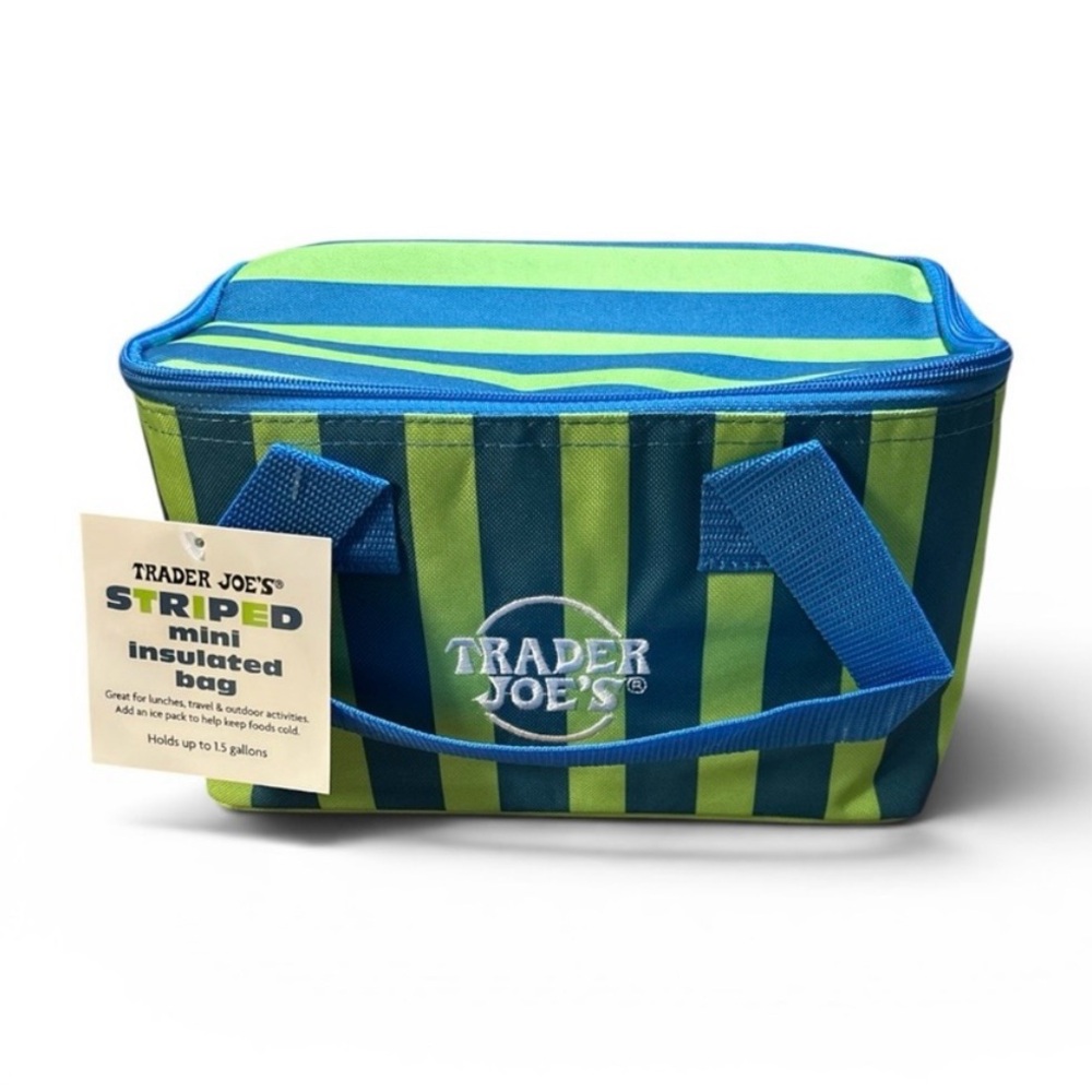 Trader Joe's Striped Green & Blue Mini Insulated Tote